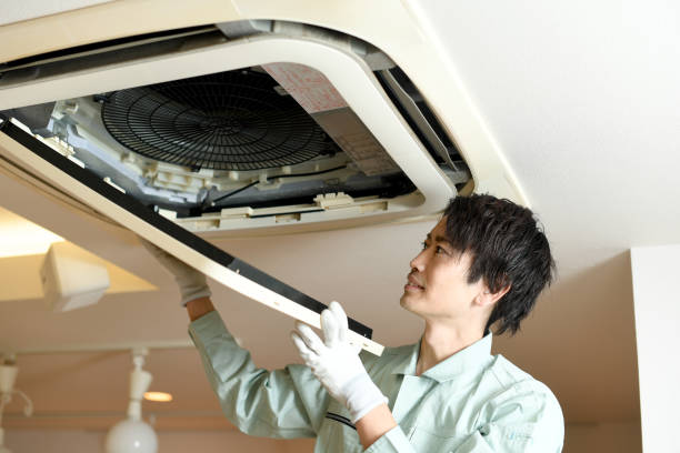 Best Professional Duct Cleaning Services  in Snowflake, AZ